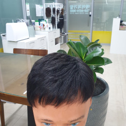 스타일